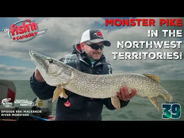 'Video thumbnail for MONSTER PIKE in the Northwest Territories! | The Fish'n Canada Show'