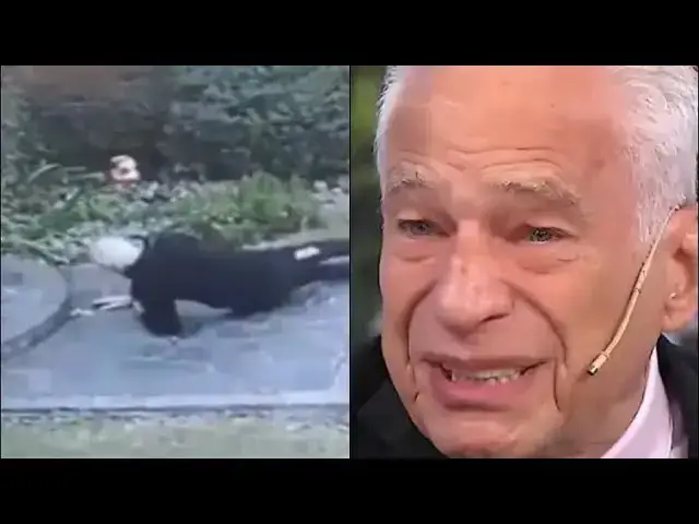 'Video thumbnail for Alberto Cormillot sufrió un accidente doméstico y quedó registrado ante las cámaras de seguridad'