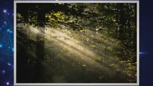 'Video thumbnail for Get Vidmore DVD Creator for Free: Exclusive Giveaway Offer for Premium DVD and Blu-ray Burning Solution'