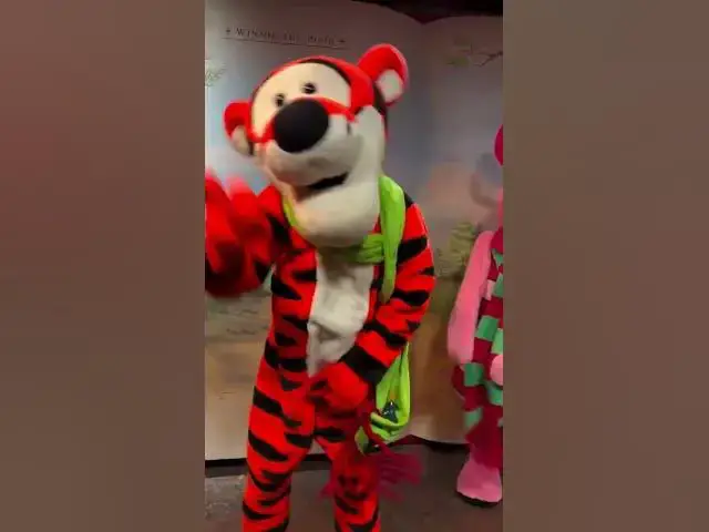 'Video thumbnail for Pooh & Friends #magickingdom #disneycharacters #disneyworld #disney'