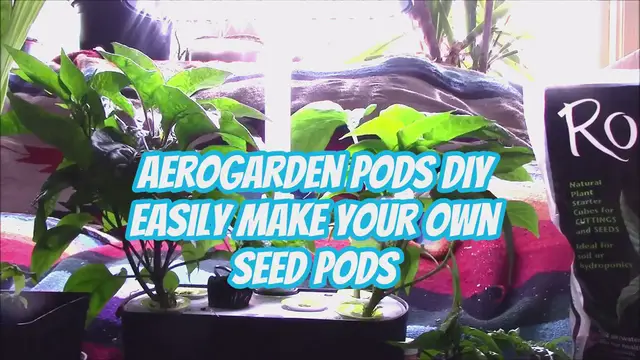 'Video thumbnail for AeroGarden Pods DIY - Easily Make Your Own Seed Pods'