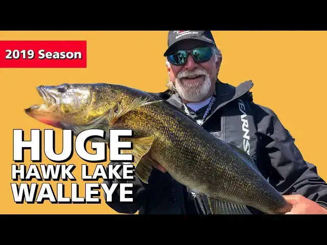 'Video thumbnail for Huge Hawk Lake Ontario Walleye | Fish'n Canada'