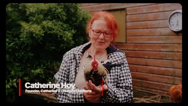 'Video thumbnail for Craigavon woman’s cuddly creatures bring new lease of life to care home residents'