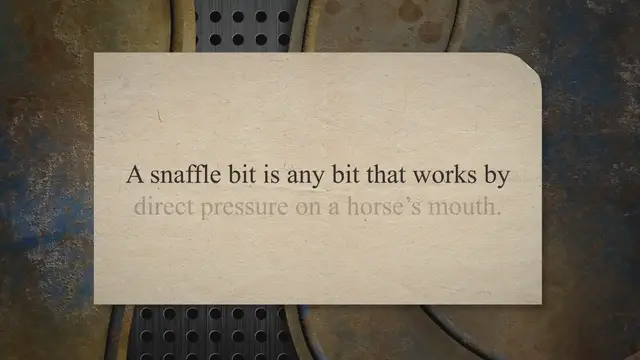 'Video thumbnail for Snaffle vs Curb Bits For Western Horses: How They Work'