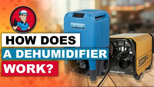 'Video thumbnail for How Does A Dehumidifier Work 🌬️ (Beginner's Guide) |  HVAC Training 101'
