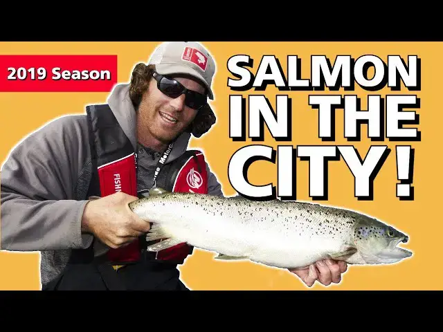 'Video thumbnail for Salmon in the City | Fish'n Canada'