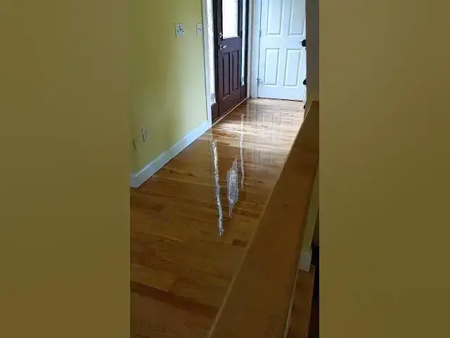 'Video thumbnail for Second Coat of Hardwood Floor Urethane'