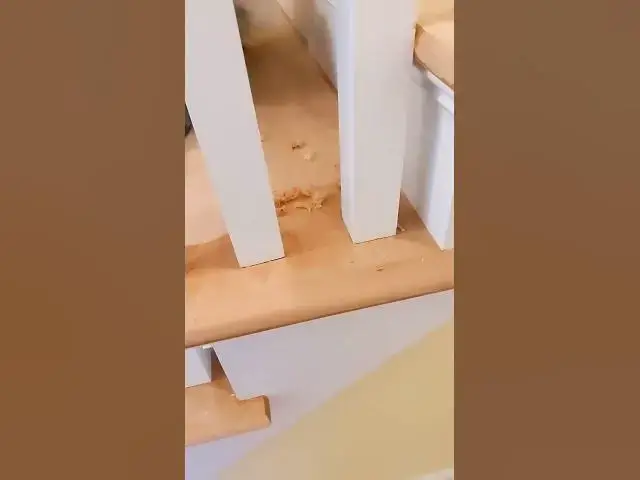 'Video thumbnail for Using a Hardwood Floor Scraper'