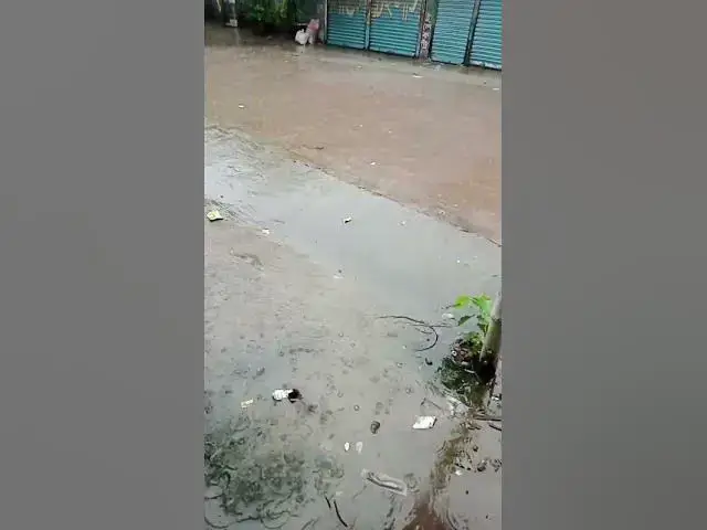 'Video thumbnail for When the Heavens Open: A Journey Through Rain'