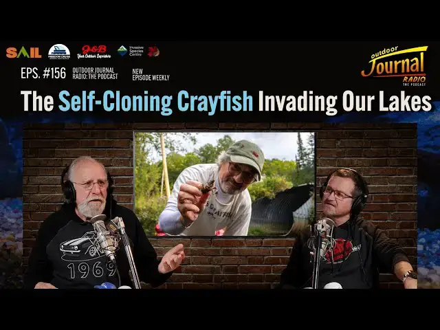 'Video thumbnail for The Self-Cloning Crayfish Invading our Lakes | Outdoor Journal Radio ep. 156'