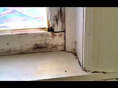 'Video thumbnail for DIY Wood Window Restoration - Glue or Epoxy - Secret Tips LIVE Stream 02-08-2022 Ask the Bulider'