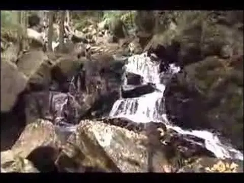 'Video thumbnail for New Hampshire'