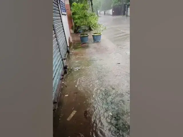 'Video thumbnail for Ripples of Rain: A Dance of Droplets'
