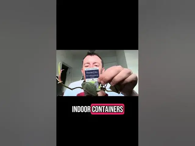 'Video thumbnail for 🌱 Houseplant Number 7 Unveiled! Add This Gem to Your Indoor Collection'