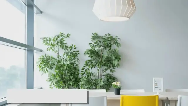 'Video thumbnail for Tips voor een Praktische en Stijlvolle Eetkamer'