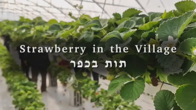 'Video thumbnail for Strawberry in the Village'