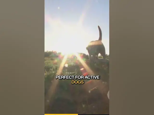 'Video thumbnail for Improving energy and vitality'