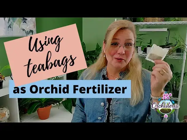 'Video thumbnail for You Won't Believe What Tea Does For Orchids! Surprising Facts'