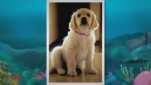 'Video thumbnail for Muddy Paws and Wagging Tails: Decoding the Fascination of Golden Retrievers with Mud'
