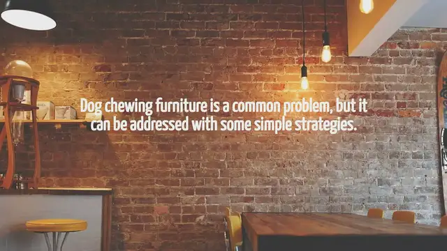 'Video thumbnail for How To Stop Dog Chewing Furniture'