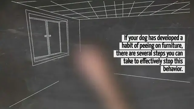 'Video thumbnail for How To Stop A Dog From Peeing On Furniture'