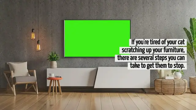 'Video thumbnail for How To Get Your Cat To Stop Scratching Furniture'