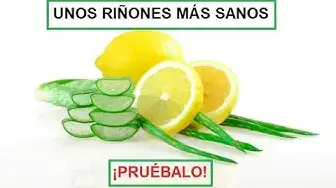 'Video thumbnail for ✅ Remedio Aloe Vera y Limón para los Cálculos Renales'