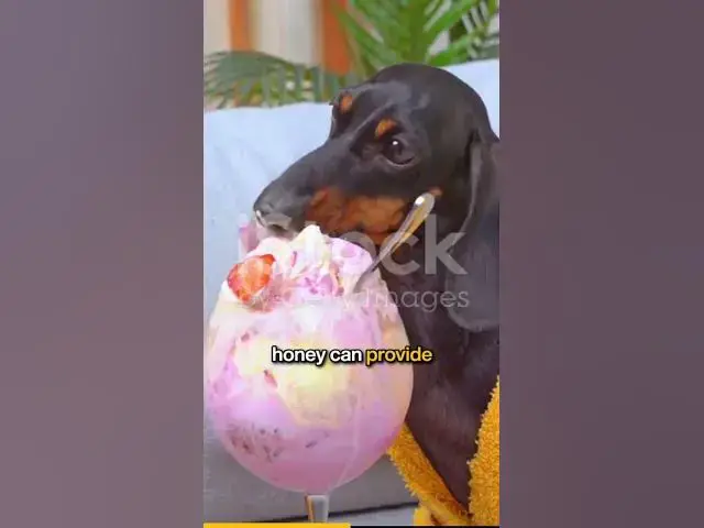'Video thumbnail for Alleviating digestive issues'