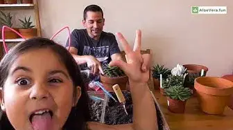 'Video thumbnail for Plantando Suculentas con Niños'