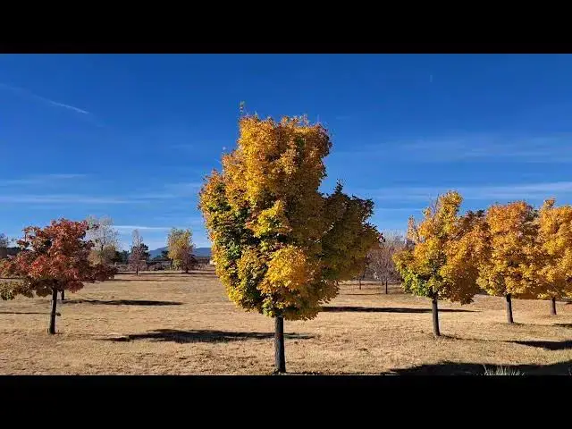 'Video thumbnail for Fall Weather, Colorado Springs, Colorado'