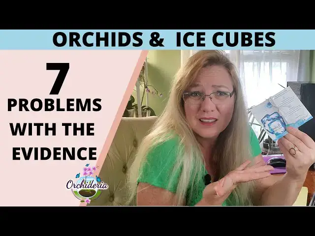 'Video thumbnail for Why You Shouldn't Believe What You Read About Watering Orchids with Ice Cubes'