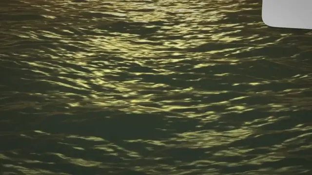 'Video thumbnail for Why Do Golden Retrievers Love Water So Much?'
