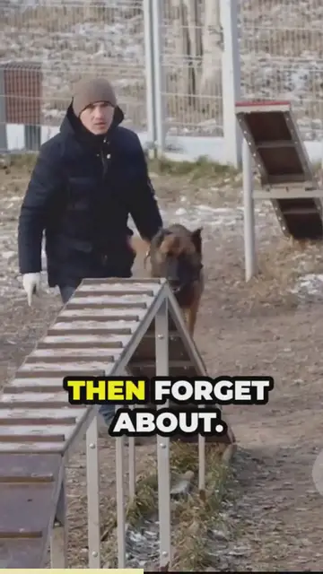 'Video thumbnail for Gsd'