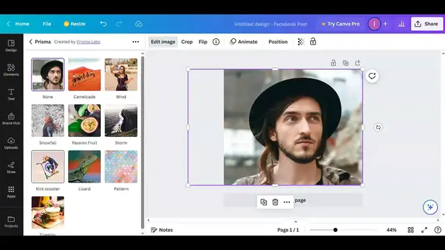 'Video thumbnail for Canva Portrait Cartoon Photo Editing Tutorial #easycanva'