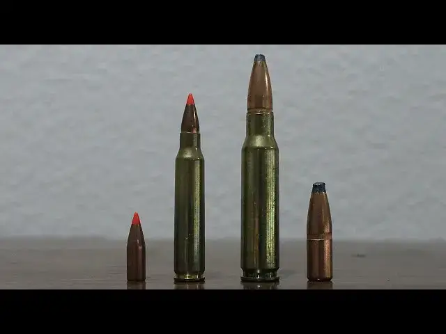 'Video thumbnail for 223 vs 308 Winchester Review & Comparison'
