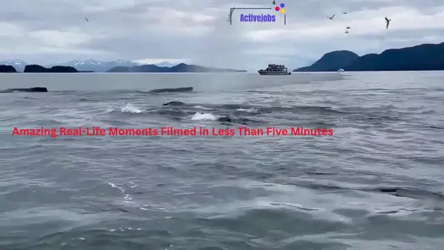 'Video thumbnail for Amazing Real-Life Moments Filmed in Less Than Five Minutes'