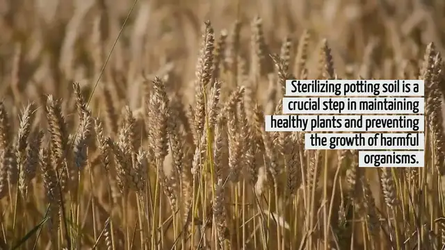 'Video thumbnail for How To Sterilize Potting Soil In The Oven'