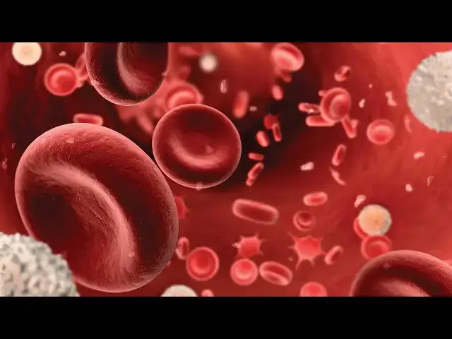 'Video thumbnail for What Makes Sepsis One of the Deadliest Conditions?'