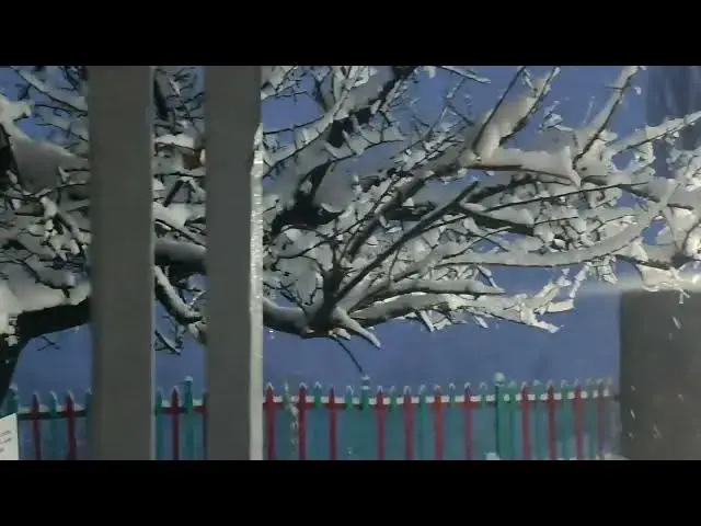 'Video thumbnail for Snowfall at Evening#astorevalley'