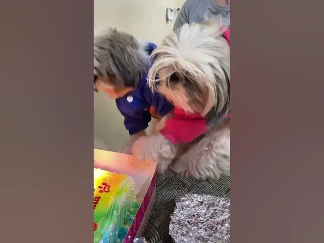 'Video thumbnail for Happy 6th Birthday Chummy & Lala'