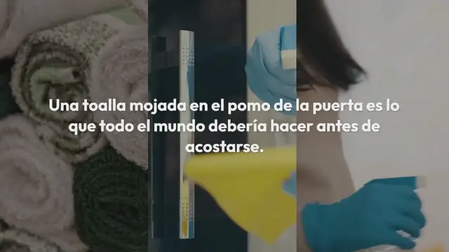 'Video thumbnail for Por eso pon una toalla mojada en el mango antes de acostarte.'