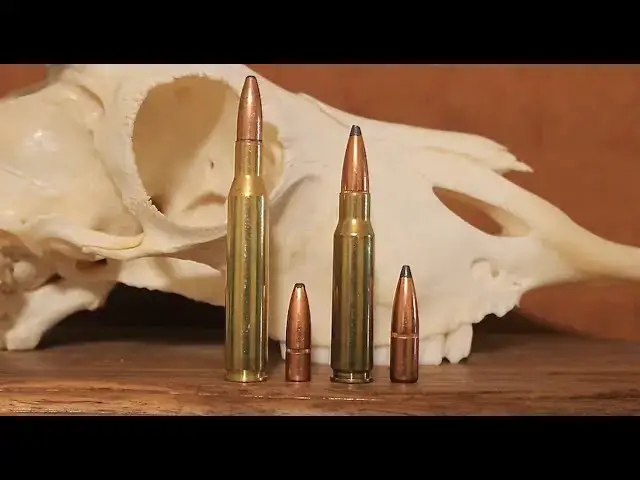 'Video thumbnail for 270 vs 308: Which One Should You Hunt With?'