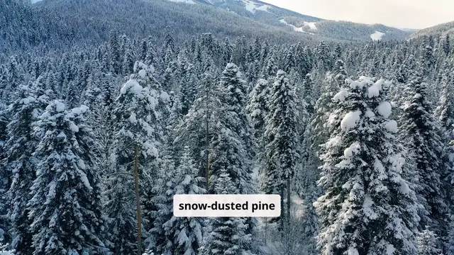 'Video thumbnail for savor culinary experiences at a Canadian ski resorts'