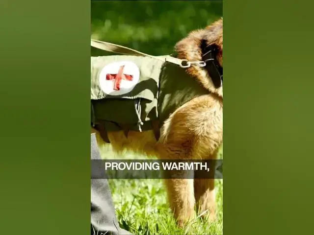'Video thumbnail for 10-14 Days After Birth'