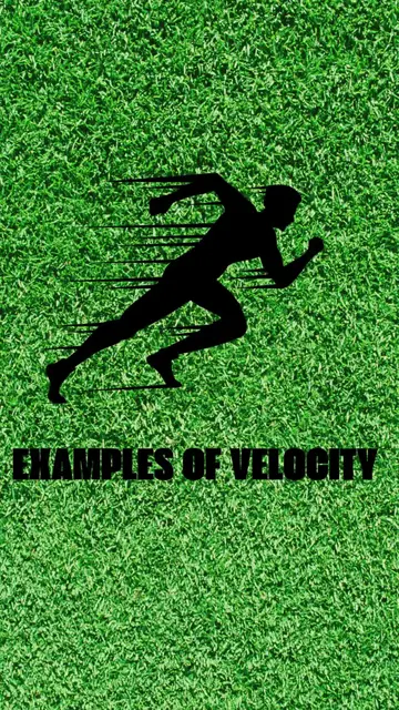 'Video thumbnail for Examples of velocity '