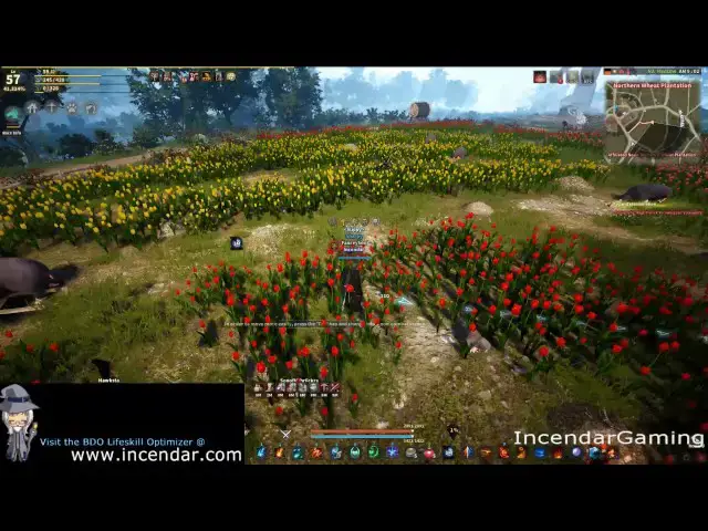 'Video thumbnail for Weeds Plants Cereals Vegetables Heaven? Northern Wheat Plantation Barehand Black Desert BDO'