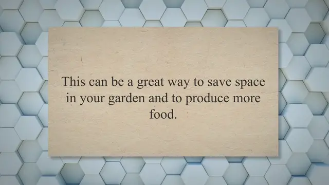 'Video thumbnail for How to Grow Potatoes and Tomatoes Together: A Complete Guide'