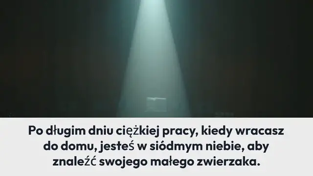'Video thumbnail for Oto jak usunąć zapach moczu kota i psa z materacy, sof, dywanów i ubrań'