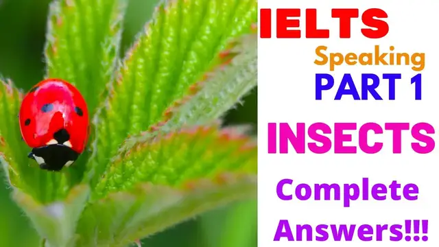 'Video thumbnail for INSECTS | IELTS SPEAKING PART 1 RECENT TOPIC | 2020 | Complete Answers | Achieve a Band 9.0!'
