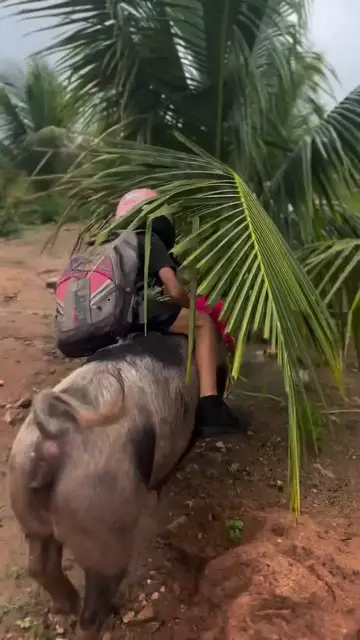 'Video thumbnail for Criança raiz indo para a escola'